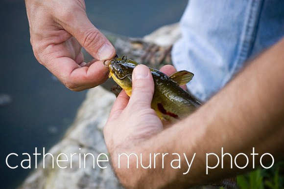 Caught Fish in Hands