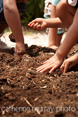 young children planting seeds in garden