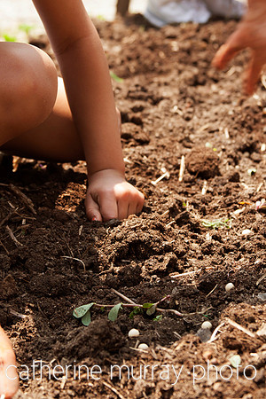 young children planting seeds in garden