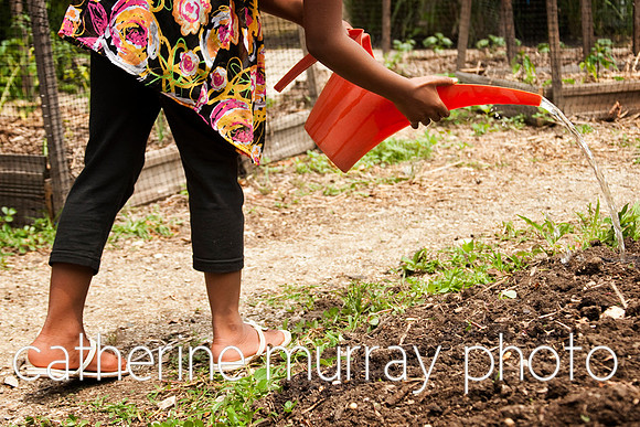 young children planting seeds in garden