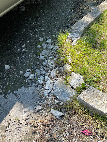 5393_CornerCurb_ByNoParking_15