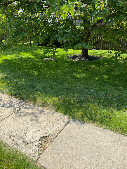 WestCourtyard_Behind_5421_13