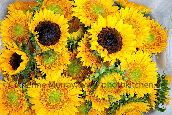 BranstoolDinner_PhotoKitchen_MG_4058