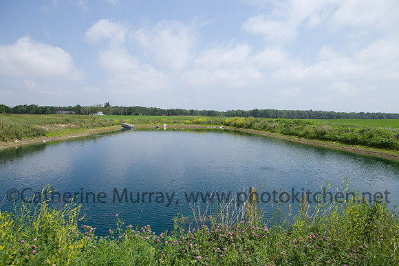 EC_VanScoy_PhotoKitchen_MG_3179