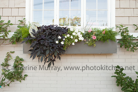 EC_FallRecipes081514_PhotoKitchen_MG_0297