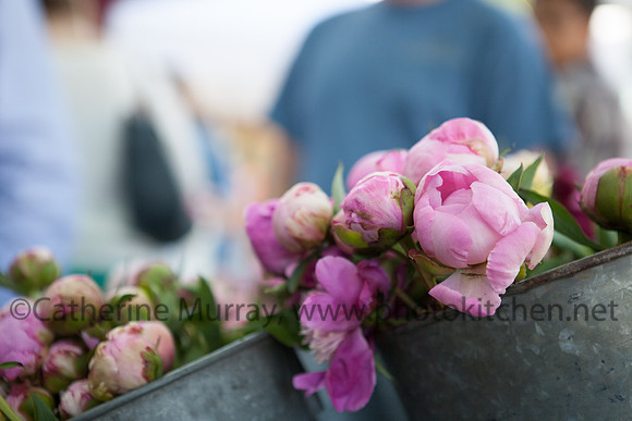 WFM061414_PhotoKitchen_MG_0293