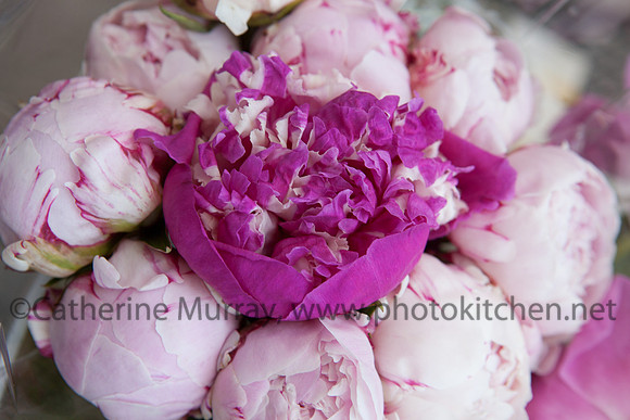 WFM061414_PhotoKitchen_MG_0317