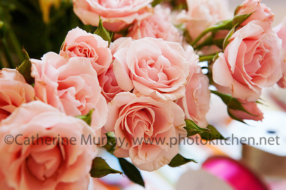 053_BAF032514_PhotoKitchen_MG_6460