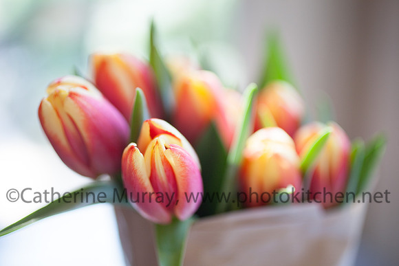 EC_FallRecipes081514_PhotoKitchen_MG_0381