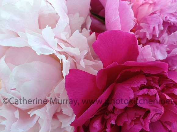 WFM_PhotoKitchen_IMG_3358