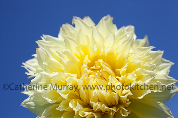 EC_SunnyMeadows_PhotoKitchen_MG_6365