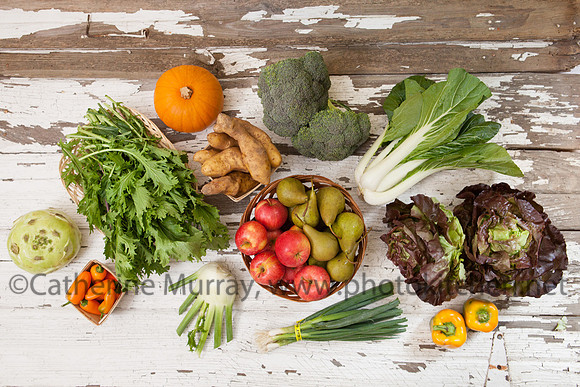 CSA_WAY101814_PhotoKitchen_MG_7042