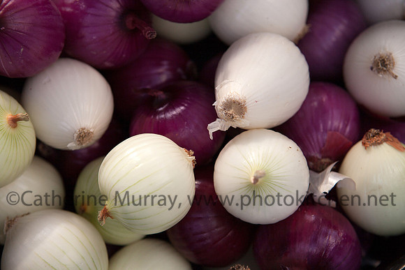 WFM092714_PhotoKitchen_MG_3073