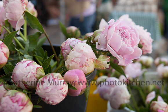 WFM061414_PhotoKitchen_MG_0315