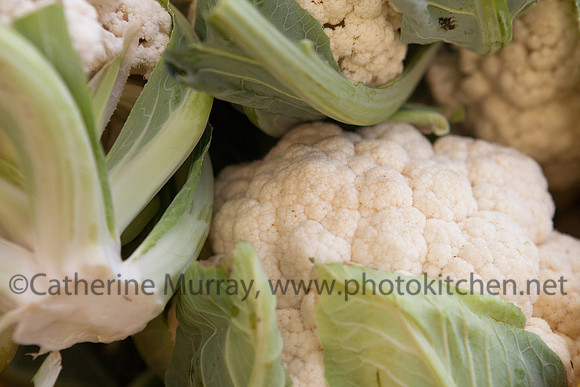 WFM092714_PhotoKitchen_MG_2996
