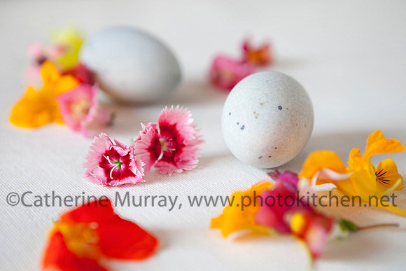 023_PhotoKitchen_Styled
