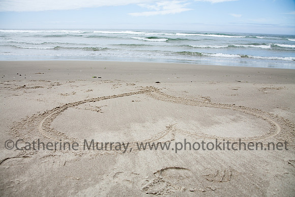 Oregon_PhotoKitchen_MG_4112