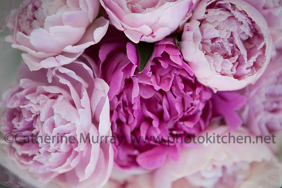 WFM061414_PhotoKitchen_MG_0284