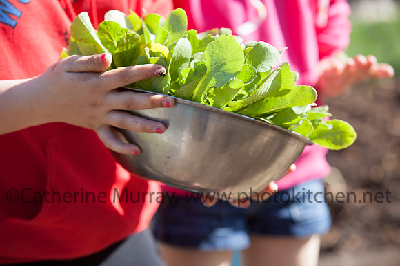 EC_OvertheFence051814_PhotoKitchen_MG_7342