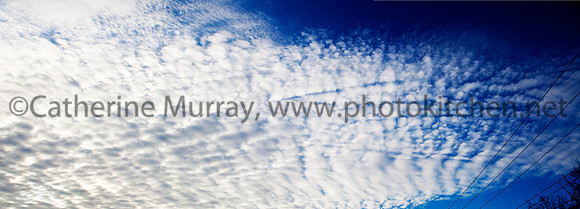 OFH_Ext_PhotoKitchenUntitled_Panorama1