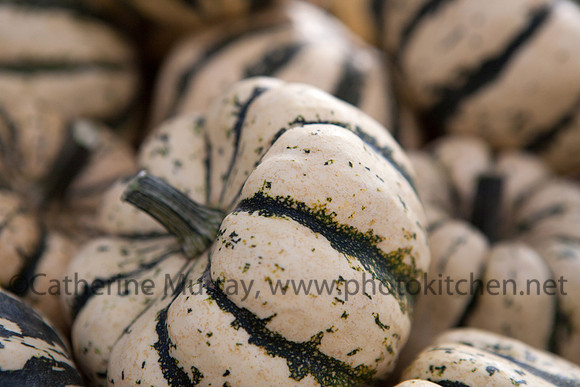 WFM092714_PhotoKitchen_MG_3075