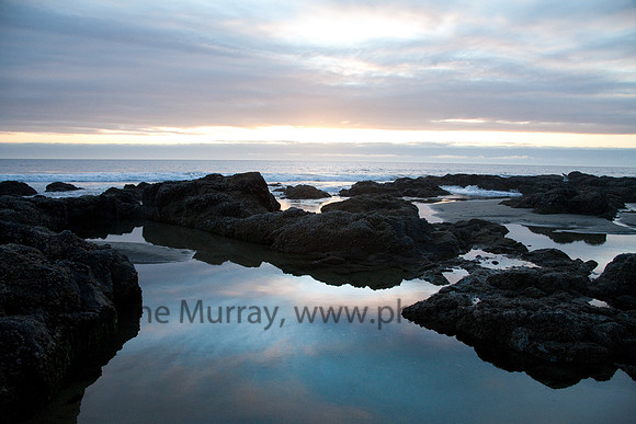 Oregon_PhotoKitchen_MG_4886