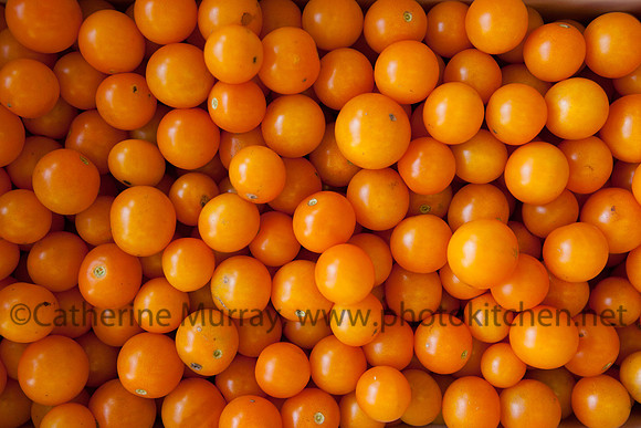 105_WAY082914_PhotoKitchen_MG_4669