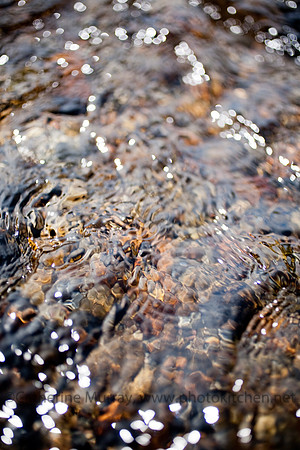 Oregon_PhotoKitchen_MG_5496