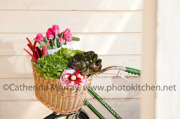 EC_Spring2014Cover_PhotoKitchen_MG_3597