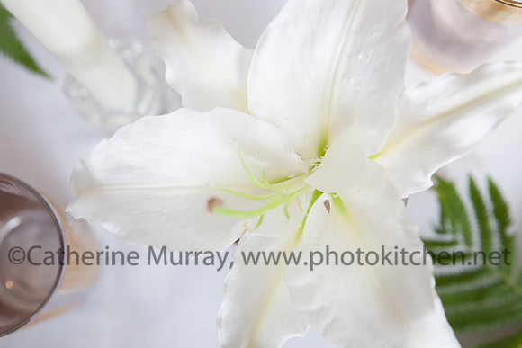 029_SF071413_PhotoKitchen_MG_2771