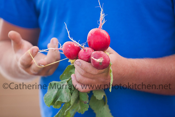 WFM061414_PhotoKitchen_MG_0149