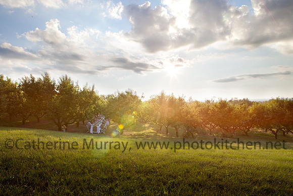 BranstoolDinner_PhotoKitchen_MG_4431