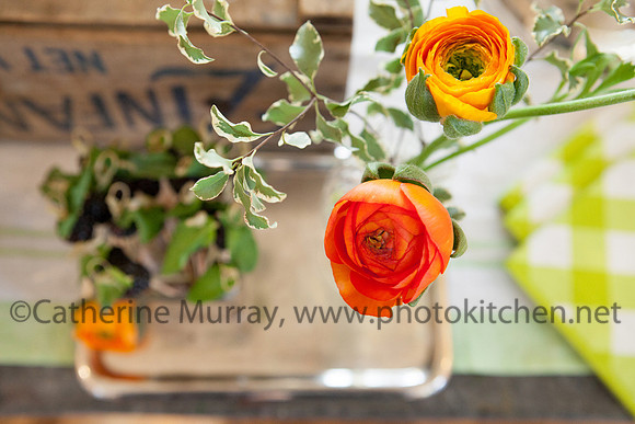 047_BAF032514_PhotoKitchen_MG_6442