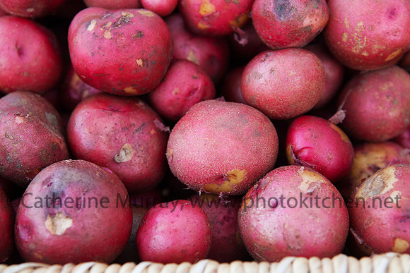 WFM092714_PhotoKitchen_MG_2694