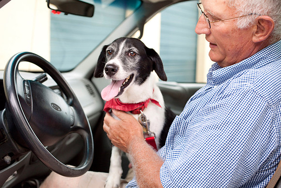 070_15_003_PhotoKitchen_PetPhotography