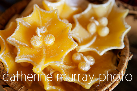 EC_BarrysBees_PhotoKitchen_MG_0492