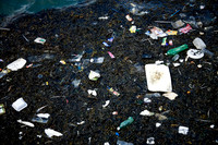 Trash on the Shore
