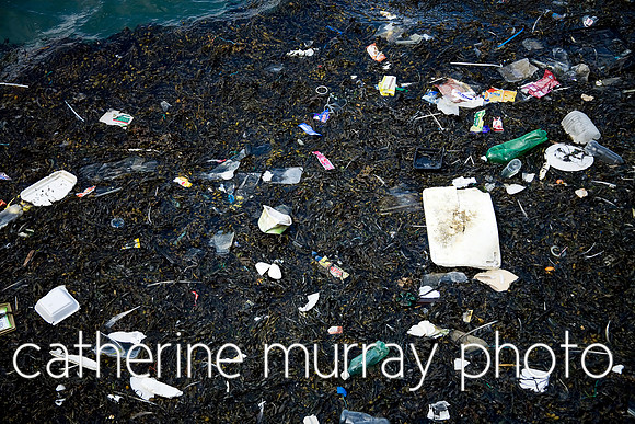 Trash on the Shore