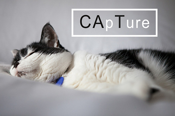 018_018_143_70_032_PhotoKitchen_PetPhotography