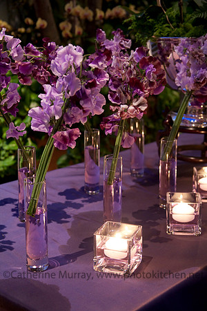 Franklin Park Conservatory Bridal Show 2011
