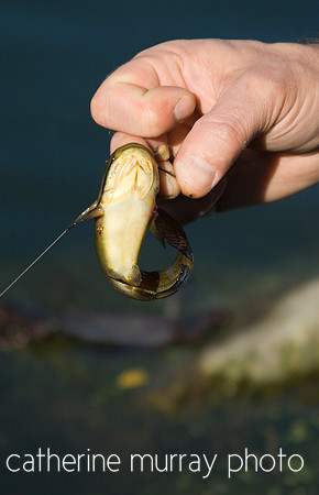 Fishing